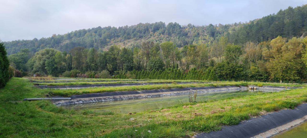 مبيت وإفطار Thonnance-lès-Joinville Le Moulin Aux Ecrevisses المظهر الخارجي الصورة